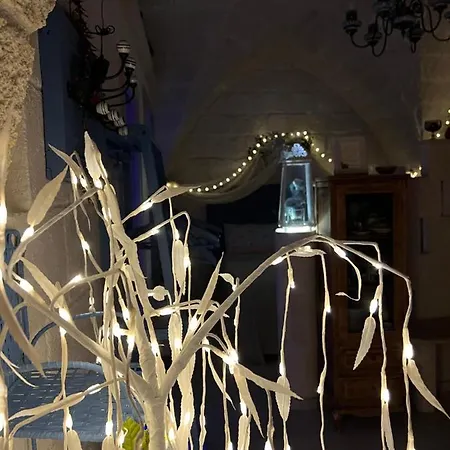 Palazzo Savoia 1856 *